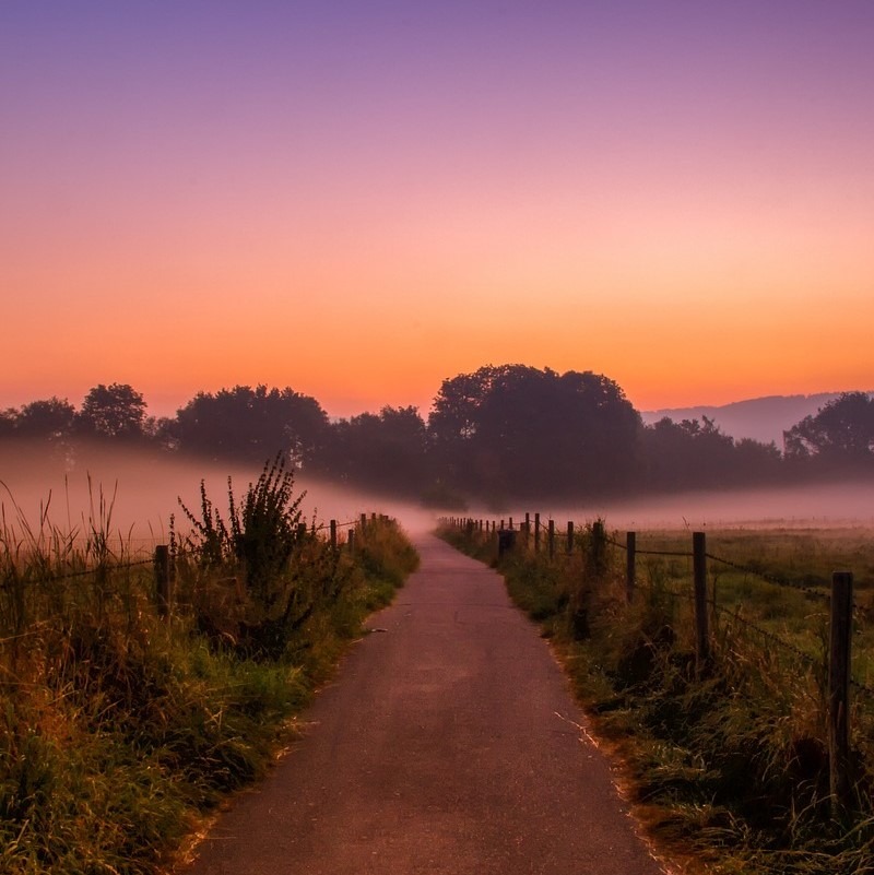 landschaft-mit-sonnenuntergang-und-nebelschleiern