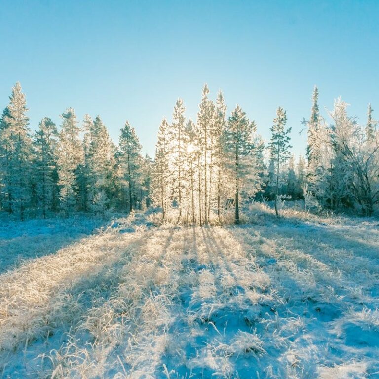 schneelandschaft-zur-wintersonnenwende